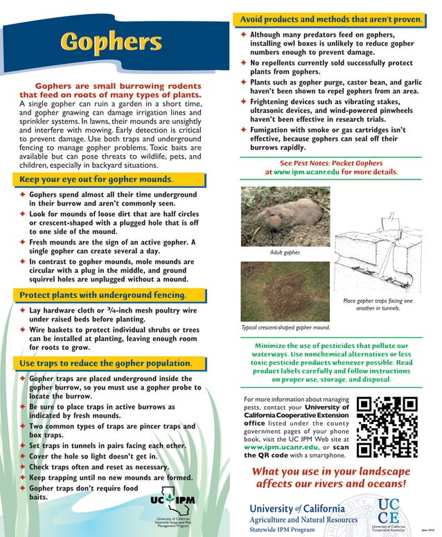 Pocket Gophers Quick Tips Natural Pest Control PDF