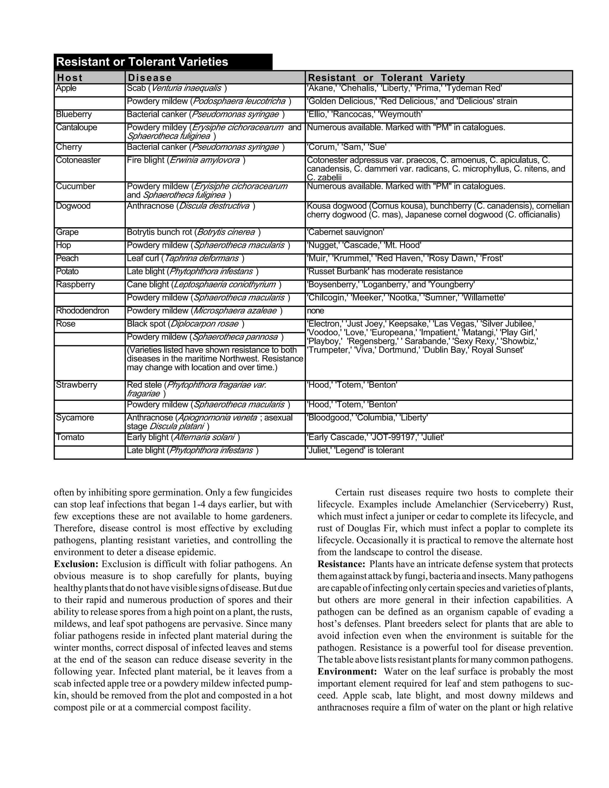 Resistant or Tolerant Varieties 
Host Disease Resistant or Tolerant Variety 
Apple Scab (Venturia inaequalis) 'Akane,' 'Chehalis,' 'Liberty,' 'Prima,' 'Tydeman Red' 
Powdery mildew (Podosphaera leucotricha) 'Golden Delicious,' 'Red Delicious,' and 'Delicious' strain 
Blueberry Bacterial canker (Pseudomonas syringae) 'Ellio,' 'Rancocas,' 'Weymouth' 
Cantaloupe Powdery mildey (Erysiphe cichoracearum and 
often by inhibiting spore germination. Only a few fungicides 
can stop leaf infections that began 1-4 days earlier, but with 
few exceptions these are not available to home gardeners. 
Therefore, disease control is most effective by excluding 
pathogens, planting resistant varieties, and controlling the 
environment to deter a disease epidemic. 
Exclusion: Exclusion is difficult with foliar pathogens. An 
obvious measure is to shop carefully for plants, buying 
healthy plants that do not have visible signs of disease. But due 
to their rapid and numerous production of spores and their 
ability to release spores from a high point on a plant, the rusts, 
mildews, and leaf spot pathogens are pervasive. Since many 
foliar pathogens reside in infected plant material during the 
winter months, correct disposal of infected leaves and stems 
at the end of the season can reduce disease severity in the 
following year. Infected plant material, be it leaves from a 
scab infected apple tree or a powdery mildew infected pump-kin, 
should be removed from the plot and composted in a hot 
compost pile or at a commercial compost facility. 
'Electron,' 'Just Joey,' Keepsake,' 'Las Vegas,' 'Silver Jubilee,' 
'Voodoo,' 'Love,' 'Europeana,' 'Impatient,' 'Matangi,' 'Play Girl,' 
'Playboy,' 'Regensberg,' ' Sarabande,' 'Sexy Rexy,' 'Showbiz,' 
'Trumpeter,' 'Viva,' Dortmund,' 'Dublin Bay,' Royal Sunset' 
Certain rust diseases require two hosts to complete their 
lifecycle. Examples include Amelanchier (Serviceberry) Rust, 
which must infect a juniper or cedar to complete its lifecycle, and 
rust of Douglas Fir, which must infect a poplar to complete its 
lifecycle. Occasionally it is practical to remove the alternate host 
from the landscape to control the disease. 
Resistance: Plants have an intricate defense system that protects 
them against attack by fungi, bacteria and insects. Many pathogens 
are capable of infecting only certain species and varieties of plants, 
but others are more general in their infection capabilities. A 
pathogen can be defined as an organism capable of evading a 
host’s defenses. Plant breeders select for plants that are able to 
avoid infection even when the environment is suitable for the 
pathogen. Resistance is a powerful tool for disease prevention. 
The table above lists resistant plants for many common pathogens. 
Environment: Water on the leaf surface is probably the most 
important element required for leaf and stem pathogens to suc-ceed. 
Apple scab, late blight, and most downy mildews and 
anthracnoses require a film of water on the plant or high relative 
Sphaerotheca fuliginea ) 
Numerous available. Marked with "PM" in catalogues. 
Cherry Bacterial canker (Pseudomonas syringae) 'Corum,' 'Sam,' 'Sue' 
Cotoneaster Fire blight (Erwinia amylovora) Cotonester adpressus var. praecos, C. amoenus, C. apiculatus, C. 
canadensis, C. dammeri var. radicans, C. microphyllus, C. nitens, and 
C. zabelii 
Cucumber Powdery mildew (Eryisiphe cichoracearum 
and Sphaerotheca fuliginea ) 
Numerous available. Marked with "PM" in catalogues. 
Dogwood Anthracnose (Discula destructiva ) Kousa dogwood (Cornus kousa), bunchberry (C. canadensis), cornelian 
cherry dogwood (C. mas), Japanese cornel dogwood (C. officianalis) 
Grape Botrytis bunch rot (Botrytis cinerea) 'Cabernet sauvignon' 
Hop Powdery mildew (Sphaerotheca macularis) 'Nugget,' 'Cascade,' 'Mt. Hood' 
Peach Leaf curl (Taphrina deformans) 'Muir,' 'Krummel,' 'Red Haven,' 'Rosy Dawn,' 'Frost' 
Potato Late blight (Phytophthora infestans) 'Russet Burbank' has moderate resistance 
Raspberry Cane blight (Leptosphaeria coniothyrium) 'Boysenberry,' 'Loganberry,' and 'Youngberry' 
Powdery mildew (Sphaerotheca macularis) 'Chilcogin,' 'Meeker,' 'Nootka,' 'Sumner,' 'Willamette' 
Rhododendron Powdery mildew (Microsphaera azaleae ) none 
Rose Black spot (Diplocarpon rosae ) 
Powdery mildew (Sphaerotheca pannosa ) 
(Varieties listed have shown resistance to both 
diseases in the maritime Northwest. Resistance 
may change with location and over time.) 
Strawberry Red stele (Phytophthora fragariae var. 
fragariae ) 
'Hood,' 'Totem,' 'Benton' 
Powdery mildew (Sphaerotheca macularis) 'Hood,' 'Totem,' 'Benton' 
Sycamore Anthracnose (Apiognomonia veneta ; asexual 
stage Discula platani ) 
'Bloodgood,' 'Columbia,' 'Liberty' 
Tomato Early blight (Alternaria solani) 'Early Cascade,' 'JOT-99197,' 'Juliet' 
Late blight (Phytophthora infestans) 'Juliet,' 'Legend' is tolerant 
 