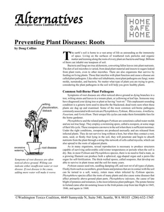 Alternatives 
A Washington Toxics Coalition Fact Sheet 
Preventing Plant Diseases: Roots 
by Doug Collins 
wilting, 
discoloration, 
dieback 
Symptoms of root diseases are often 
noticed above ground. Wilting can 
indicate either insufficient water or root 
disease. If root disease is the cause, 
adding more water will make it worse. 
xx x 
xxxxx 
xxxxx x x x x x 
xxxx 
xxx 
xx x 
x xxxxx 
xxxxx 
xxxxx x x x x x 
xxxx 
xxx 
xxxx 
xxx 
The earth’s soil is home to a vast array of life as astounding as the immensity 
of space. Living on the surfaces of weathered rock particles and organic 
matter and teeming along the roots of every plant are bacteria and fungi. Billions 
of them can inhabit one teaspoon of soil. 
Bacteria and fungi are true alchemists, converting fallen leaves into plant nutrients. 
The diet of soil microbes is varied, from dead plant material and insects to sugars leaked 
from plant roots, even to other microbes. There are also organisms that survive by 
feeding on living plants. Those that interfere with plant function and cause a disease are 
called plant pathogens. Like other soil inhabitants, most plant pathogens are fungi, water 
molds, nematodes, and bacteria. No matter what type of plant you are trying to grow, 
considering the plant pathogens in the soil will help you grow healthy plants. 
Common Soil-Borne Plant Pathogens 
Symptoms of root diseases are often noticed above ground as dying branches in a 
tree, wilting stems and leaves in a tomato plant, or yellowing at leaf tips. Someone may 
have diagnosed your dying tree or plant as having “root rot.” This unpleasant-sounding 
condition is a generic term used to describe the blackened, dead roots seen when these 
plants are dug up and examined. Some of the most common soil-borne pathogens 
commonly associated with root rots are Phytophthora, Pythium, Rhizoctonia, Armillaria, 
Fusarium, and Verticillium. Their unique life cycles can make them formidable foes for 
the home gardener. 
Phytophthora and the related pathogen Pythium are sometimes called water molds 
and are not true fungi. They employ a swimming spore, called a zoospore, at some stage 
of their life cycle. These zoospores can move in the soil when there is sufficient moisture. 
Under the right conditions, zoospores are produced asexually and are released from 
infected plants. They do not survive long without a host, but when they contact a root, 
stem, seed, or fleshy fruit lying in the soil, they will penetrate and begin to absorb 
nutrients from the plant through a string-like network of cells called mycelia, which can 
also spread to the roots of adjacent plants. 
As in many organisms, sexual reproduction is necessary to produce structures 
capable of surviving unfavorable cold winter temperatures or periods when the soil is 
dry. But, in most Pythium and Phytophthora species, there is no need to find a mate, as 
a growing filament can produce both a spherical, egg-shaped organ and a penis-like 
organ for self-fertilization. The thick-walled spores, called oospores, that develop are 
able to survive in plant tissue and the soil for many years. 
Pythium causes seed rots, seedling damping-off, and root rot of all types of plants. 
Fleshy fruits such as cucumbers, green beans and potatoes that are in contact with the soil 
can be turned to a soft, watery, rotten mass when infected by Pythium species. 
Phytophthora species affect the roots of many plants and also cause some diseases that 
affect primarily above-ground plant parts. Phytophthora infestans, the cause of late 
blight of potatoes and tomatoes, is the most infamous plant pathogen. The potato famine 
in Ireland came after devastating losses to the Irish potato crop from late blight in 1845, 
1846, and again in 1848. 
excessive 
watering 
root disease 
x x x x x 
xxxx 
xxx 
x 
xx 
xx 
x 
x x x x x 
xx 
x x x x 
xx 
xxxx 
xxx 
x 
xx 
xx 
x 
x x x x x 
xx 
x x x x 
xx 
xxxxxx xx x xx x x x 
x 
xx 
xx 
x xx 
x x x x 
xx 
©Washington Toxics Coalition, 4649 Sunnyside N, Suite 540, Seattle, WA 98103 (206) 632-1545 
 
