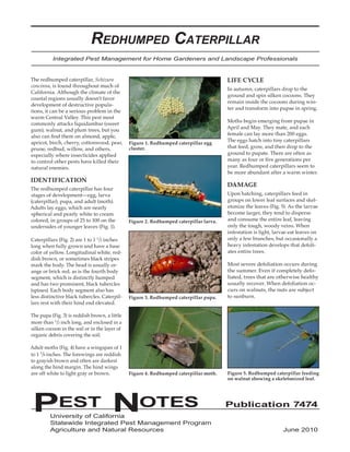 Pset Notes Redhumped Caterpillar Integrated Pest Management | PDF