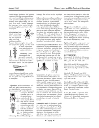 August 2008 Roses: Insect and Mite Pests and Beneficials 
◆ 4 of 5 ◆ 
crusty, bloated mummies. The parasite 
pupates within the mummy and then 
cuts a neat round hole and emerges as 
a full-grown wasp. Once you see one 
mummy in the aphid colony, you are 
likely to see more. Parasitic wasps are 
also important in the control of scale 
insects, caterpillars, and many other 
insect pests. 
Minute pirate bug. 
Minute pirate bugs, 
Orius tristicolor, are 
tiny true bugs with 
black and white 
markings as adults. 
They are often among the first preda-tors 
to appear in spring, and they feed 
on mites, insect and 
mite eggs, immature 
scales, and thrips. 
Lacewings. Green 
lacewings in the 
genera Chrysopa and 
Chrysoperla are common 
natural enemies of aphids and other 
soft-bodied insects. The gray-green to 
brown alligator-shaped larvae are the 
predatory stage of the Chrysoperla spe-cies. 
The green lacy-winged adults feed 
on honeydew. 
Lady beetles. Many different red and 
black lady beetle species are preda-tors 
of aphids; the most common is 
the convergent lady beetle, Hippodamia 
convergens. Another 
common species in 
the garden is the 
multicolored, Har-monia 
axyridis. These 
lady beetles have the 
advantage of feeding 
primarily on aphids 
and are predators in 
both the adult and 
larval stages. Look 
for the black, alliga-tor- 
shaped larva 
with orange dots and the oblong, yel-low 
eggs that are laid on end in groups. 
Releases of commercially available con-vergent 
lady beetles can reduce aphid 
numbers. However, large numbers 
must be released on each individual 
rose plant. Mist lady beetles with a 
water spray before release. Make re-leases 
in the evening at dusk by placing 
beetles on canes at the base of plants. 
Wet plants first with a fine spray of wa-ter. 
Expect 90% of the lady beetles to fly 
away in the first 24 hours. The remain-ing 
lady beetles are unlikely to lay eggs 
and will fly away once aphid popula-tions 
have been substantially reduced. 
Leatherwings or soldier beetles. These 
moderate to large-sized beetles in the 
Cantharid family have leatherlike dark 
wings and orange or red heads and 
thoraxes. They feed on aphids and are 
very common on roses. Many people 
mistake them for pests, but they are 
predaceous both as adults and larvae 
(in the soil). Sometimes they leave dark 
splotches of excrement on leaves. 
Syrphid flies. Syrphids, sometimes 
called flower flies or hover flies, are 
important predators of aphids and very 
common on roses. Syrphids superfi-cially 
resemble wasps, feed on nectar 
and pollen before reproducing, and are 
often seen hovering above flowers. Lar-vae, 
often found within aphid colonies, 
are legless and maggot shaped. There 
are many species in California and they 
vary in color from dull brown or yellow 
to bright green, but most have a yellow 
longitudinal stripe on the back. Don’t 
mistake them for moth or butterfly 
larvae! 
Predaceous mites. A number of preda-tory 
mites feed on spider mites, often 
keeping them at tolerable levels. Preda-tory 
mites can be distinguished from 
the plant-feeding spider mites by the 
absence of the two spots on either 
side of the body, their pear shape, and 
their more active habits. Compared to 
the plant-feeding species of mites that 
remain in one location feeding, preda-tory 
mites move rapidly around the leaf 
when looking for prey. Because they 
are so small, a hand lens is helpful in 
viewing them. 
Thrips. Six-spotted thrips feeds on 
spider mites and is not a plant feeder. 
Western flower thrips are plant feeders 
but also feed on spider mites. While 
thrips damage can’t be tolerated in 
greenhouse production, in the field 
thrips often provide benefit exceeding 
the limited damage they cause. 
Spiders. All spiders are predators and 
many contribute significantly to bio-logical 
control. Many types of spiders 
including crab spiders, jumping spiders, 
cobweb spiders, and the orb-weavers 
occur in landscapes. 
REFERENCES 
Dreistadt, S. H. 2004. Pests of Landscape 
Trees and Shrubs. Oakland: Univ. Calif. 
Div. Agric. Nat. Res. Publ. 3359. 
Flint, M. L., and S. H. Dreistadt. 1998. 
Natural Enemies Handbook. Oakland: 
Univ. Calif. Div. Agric. Nat. Res. Publ. 
3386. 
Karlik, J., P. B. Goodell, and G. W. 
Osteen. 1995. Improved mite sampling 
may reduce acaricide use in roses. Calif. 
Agric. 49(3):38-40. 
Karlik, J. F., and S. A. Tjosvold. 2003. 
Integrated Pest Management (IPM) for 
Roses. In Encyclopedia of Rose Science, 
A. V. Roberts ed. Amsterdam, Nether-lands: 
Elsevier Science. 
Karlik, J. F., and S. A. Tjosvold. 2003. 
Spider Mites. In Encyclopedia of Rose 
Science, A. V. Roberts ed. Amsterdam, 
Netherlands: Elsevier Science. ❖ 
(actual 
size 
adult) 
(actual 
size 
larva) 
(actual 
size larva) 
(actual 
size 
adult) 
(actual 
size) 
(actual size adult) 
(actual 
size 
larva) 
 