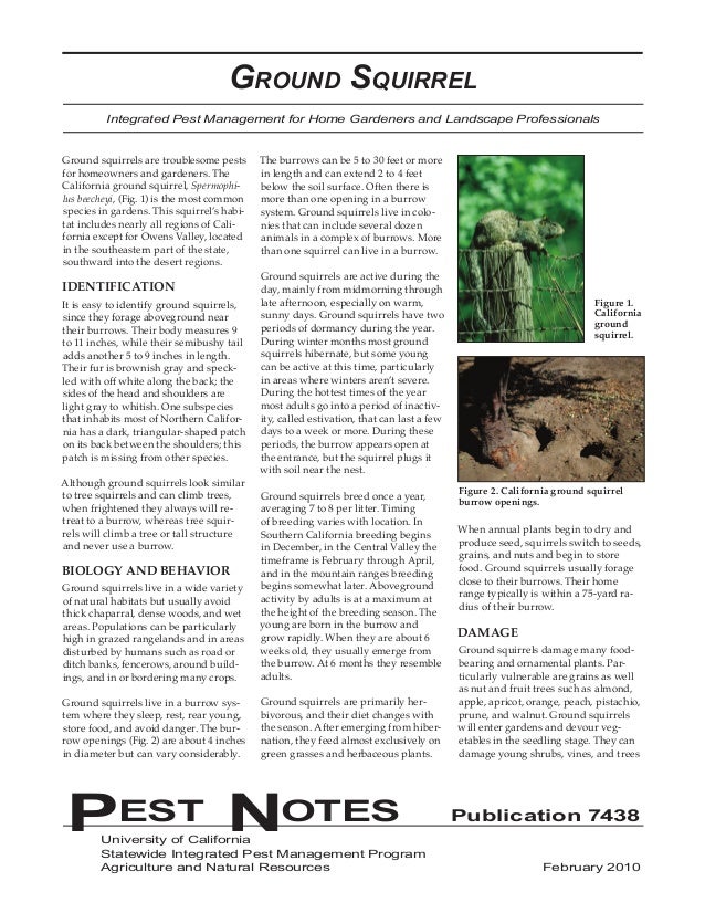 California Ground Squirrel Integrated Pest Management