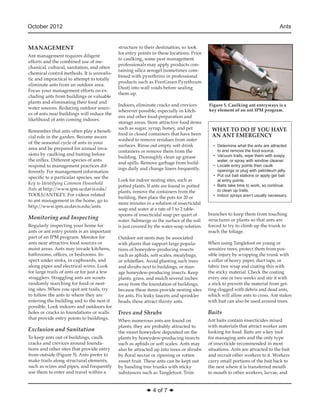 Ants Integrated Pest Management | PDF