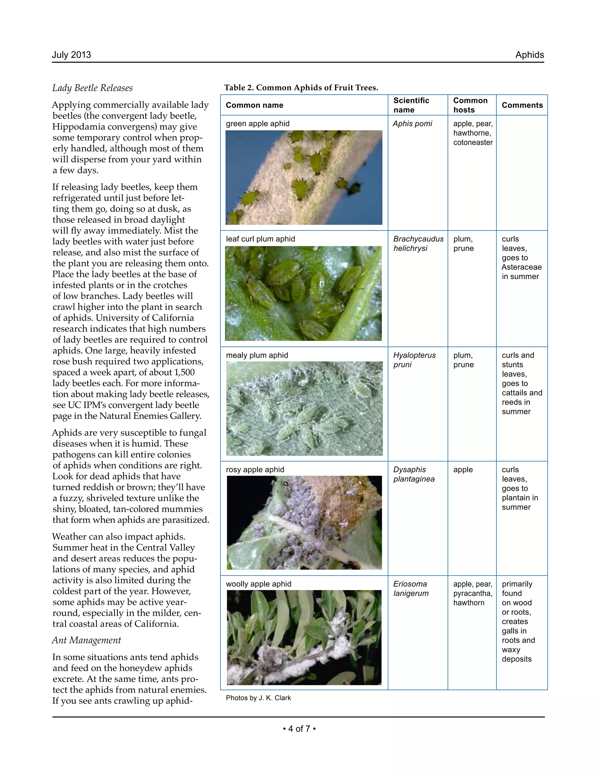 Aphids Integrated Pest Management PDF