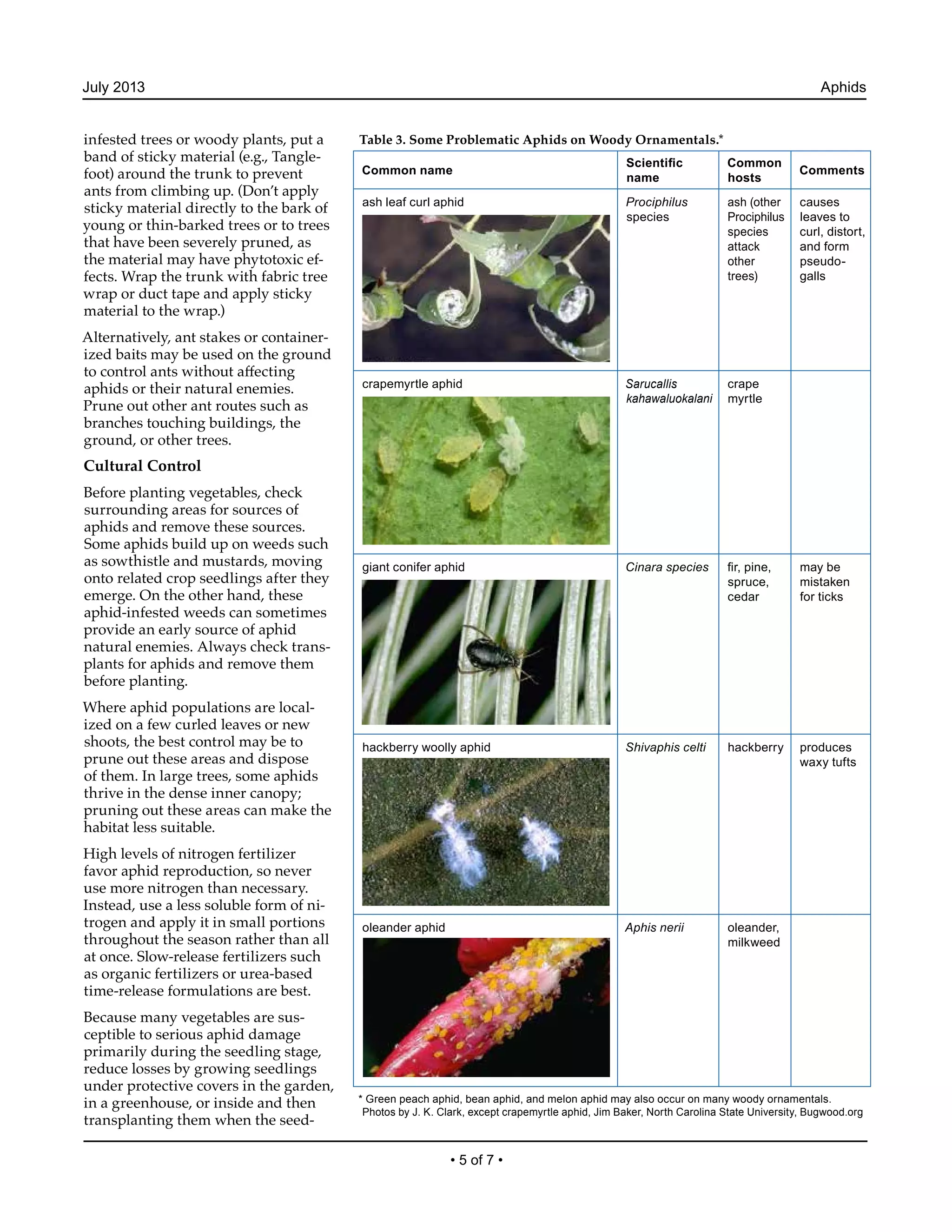 Aphids Integrated Pest Management PDF