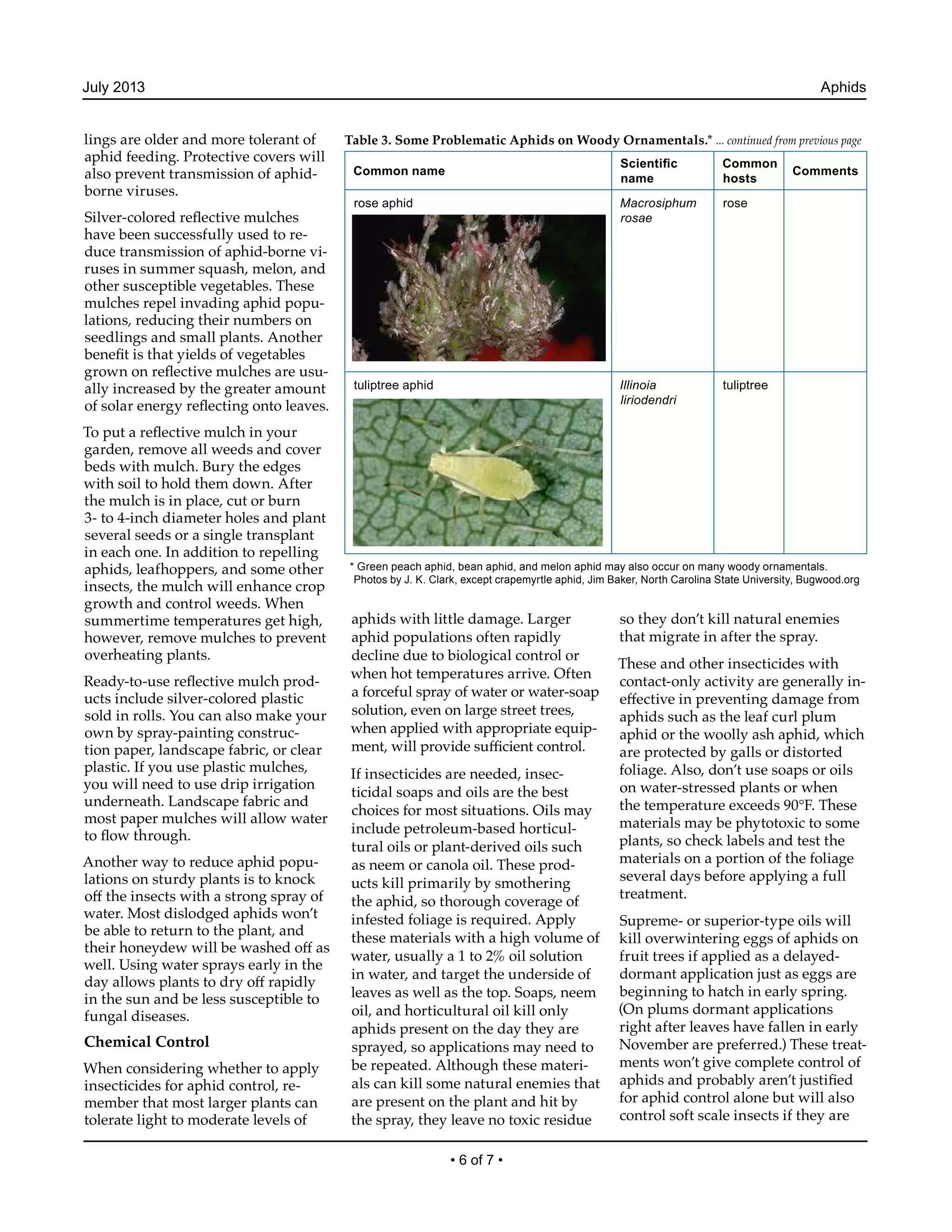 Aphids Integrated Pest Management PDF