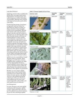 Aphids Integrated Pest Management | PDF