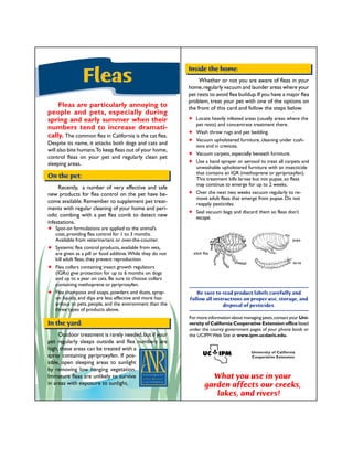 Inside the home: 
Whether or not you are aware of fleas in your 
home, regularly vacuum and launder areas where your 
pet rests to avoid flea buildup. If you have a major flea 
problem, treat your pet with one of the options on 
the front of this card and follow the steps below. 
✦ Locate heavily infested areas (usually areas where the 
pet rests) and concentrate treatment there. 
✦ Wash throw rugs and pet bedding. 
✦ Vacuum upholstered furniture, cleaning under cush-ions 
and in crevices. 
✦ Vacuum carpets, especially beneath furniture. 
✦ Use a hand sprayer or aerosol to treat all carpets and 
unwashable upholstered furniture with an insecticide 
that contains an IGR (methoprene or pyriproxyfen). 
This treatment kills larvae but not pupae, so fleas 
may continue to emerge for up to 2 weeks. 
✦ Over the next two weeks vacuum regularly to re-move 
adult fleas that emerge from pupae. Do not 
reapply pesticides. 
✦ Seal vacuum bags and discard them so fleas don’t 
Be sure to read product labels carefully and 
follow all instructions on proper use, storage, and 
disposal of pesticides. 
For more information about managing pests, contact your Uni-versity 
of California Cooperative Extension office listed 
under the county government pages of your phone book or 
the UCIPM Web Site at www.ipm.ucdavis.edu. 
University of California 
Cooperative Extension 
What you use in your 
garden affects our creeks, 
lakes, and rivers! 
escape. 
Fleas 
Fleas are particularly annoying to 
people and pets, especially during 
spring and early summer when their 
numbers tend to increase dramati-cally. 
The common flea in California is the cat flea. 
Despite its name, it attacks both dogs and cats and 
will also bite humans. To keep fleas out of your home, 
control fleas on your pet and regularly clean pet 
sleeping areas. 
On the pet: 
Recently, a number of very effective and safe 
new products for flea control on the pet have be-come 
available. Remember to supplement pet treat-ments 
with regular cleaning of your home and peri-odic 
combing with a pet flea comb to detect new 
infestations. 
✦ Spot-on formulations are applied to the animal’s 
coat, providing flea control for 1 to 3 months. 
Available from veterinarians or over-the-counter. 
✦ Systemic flea control products, available from vets, 
are given as a pill or food additive. While they do not 
kill adult fleas, they prevent reproduction. 
✦ Flea collars containing insect growth regulators 
(IGRs) give protection for up to 6 months on dogs 
and up to a year on cats. Be sure to choose collars 
containing methoprene or pyriproxyfen. 
✦ Flea shampoos and soaps, powders and dusts, spray-on 
liquids, and dips are less effective and more haz-ardous 
to pets, people, and the environment than the 
three types of products above. 
In the yard: 
Outdoor treatment is rarely needed, but if your 
pet regularly sleeps outside and flea numbers are 
high, these areas can be treated with a 
spray containing pyriproxyfen. If pos-sible, 
open sleeping areas to sunlight 
by removing low hanging vegetation. 
Immature fleas are unlikely to survive 
in areas with exposure to sunlight. 
adult flea 
pupa 
larva 
