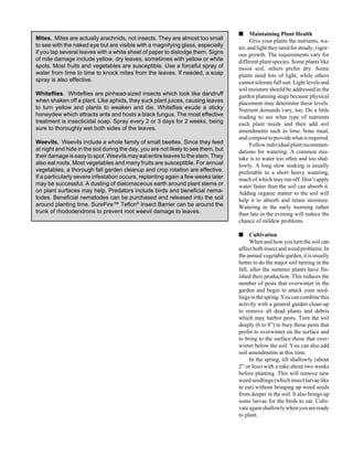 ■ Maintaining Plant Health 
Give your plants the nutrients, wa-ter, 
and light they need for steady, vigor-ous 
growth. The requirements vary for 
different plant species. Some plants like 
moist soil; others prefer dry. Some 
plants need lots of light, while others 
cannot tolerate full sun. Light levels and 
soil moisture should be addressed in the 
garden planning stage because physical 
placement may determine these levels. 
Nutrient demands vary, too. Do a little 
reading to see what type of nutrients 
each plant needs and then add soil 
amendments such as lime, bone meal, 
and compost to provide what is required. 
Follow individual plant recommen-dations 
for watering. A common mis-take 
is to water too often and too shal-lowly. 
A long slow soaking is usually 
preferable to a short heavy watering, 
much of which may run off. Don’t apply 
water faster than the soil can absorb it. 
Adding organic matter to the soil will 
help it to absorb and retain moisture. 
Watering in the early morning rather 
than late in the evening will reduce the 
chance of mildew problems. 
■ Cultivation 
When and how you turn the soil can 
affect both insect and weed problems. In 
the annual vegetable garden, it is usually 
better to do the major soil turning in the 
fall, after the summer plants have fin-ished 
their production. This reduces the 
number of pests that overwinter in the 
garden and begin to attack your seed-lings 
in the spring. You can combine this 
activity with a general garden clean-up 
to remove all dead plants and debris 
which may harbor pests. Turn the soil 
deeply (6 to 8”) to bury those pests that 
prefer to overwinter on the surface and 
to bring to the surface those that over-winter 
below the soil. You can also add 
soil amendments at this time. 
In the spring, till shallowly (about 
2” or less) with a rake about two weeks 
before planting. This will remove new 
weed seedlings (which insect larvae like 
to eat) without bringing up weed seeds 
from deeper in the soil. It also brings up 
some larvae for the birds to eat. Culti-vate 
again shallowly when you are ready 
to plant. 
Mites. Mites are actually arachnids, not insects. They are almost too small 
to see with the naked eye but are visible with a magnifying glass, especially 
if you tap several leaves with a white sheet of paper to dislodge them. Signs 
of mite damage include yellow, dry leaves, sometimes with yellow or white 
spots. Most fruits and vegetables are susceptible. Use a forceful spray of 
water from time to time to knock mites from the leaves. If needed, a soap 
spray is also effective. 
Whiteflies. Whiteflies are pinhead-sized insects which look like dandruff 
when shaken off a plant. Like aphids, they suck plant juices, causing leaves 
to turn yellow and plants to weaken and die. Whiteflies exude a sticky 
honeydew which attracts ants and hosts a black fungus. The most effective 
treatment is insecticidal soap. Spray every 2 or 3 days for 2 weeks, being 
sure to thoroughly wet both sides of the leaves. 
Weevils. Weevils include a whole family of small beetles. Since they feed 
at night and hide in the soil during the day, you are not likely to see them, but 
their damage is easy to spot. Weevils may eat entire leaves to the stem. They 
also eat roots. Most vegetables and many fruits are susceptible. For annual 
vegetables, a thorough fall garden cleanup and crop rotation are effective. 
If a particularly severe infestation occurs, replanting again a few weeks later 
may be successful. A dusting of diatomaceous earth around plant stems or 
on plant surfaces may help. Predators include birds and beneficial nema-todes. 
Beneficial nematodes can be purchased and released into the soil 
around planting time. SureFire™ Teflon® Insect Barrier can be around the 
trunk of rhododendrons to prevent root weevil damage to leaves. 
 
