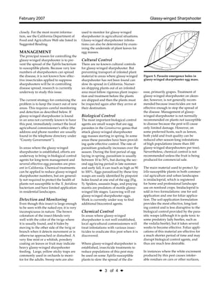 ◆ 3 of 4 ◆ 
February 2007 Glassy-winged Sharpshooter 
closely. For the most recent information, see the California Department of Food and Agriculture Web site listed in Suggested Reading. 
MANAGEMENT 
The principal reason for controlling the glassy-winged sharpshooter is to prevent the spread of the Xylella bacterium to susceptible plants. Because very low numbers of sharpshooters can spread the disease, it is not known how effective insecticides applied to suppress sharpshooters will be in controlling disease spread; research is currently underway to study this issue. 
The current strategy for containing the problem is to keep the insect out of new areas. This requires careful monitoring and detection as described below. If glassy-winged sharpshooter is found in an area not currently known to have this pest, immediately contact the local agricultural commissioner’s office (the address and phone number are usually found in the telephone directory under “County Government”). 
In areas where the glassy-winged sharpshooter is established, efforts are underway to bring in biological control agents for long-term management and several effective egg parasites are present in California. Chemical treatments can be applied to reduce glassy-winged sharpshooter numbers, but are generally not required to protect the health of plants not susceptible to the X. fastidiosa bacterium and have limited application in residential landscapes. 
Detection and Monitoring 
Even though this insect is large enough to be seen with the naked eye, it is very inconspicuous in nature. The brown coloration of the insect blends very well with the color of the twigs where it is usually found, and it hides by moving to the other side of the twig or branch when it detects movement or is otherwise approached or disturbed. A very fine mist or a whitish, powdery coating on leaves or fruit may indicate heavy glassy-winged sharpshooter feeding. Large, yellow sticky traps are commonly used in orchards to monitor for the adults. Sweep nets are also used to monitor for glassy-winged sharpshooter in agricultural situations. Glassy-winged sharpshooter infestations can also be determined by examining the underside of plant leaves for egg masses. 
Cultural Control 
There are no known cultural controls for glassy-winged sharpshooter. But preventing transport of infested plant material to areas where glassy-winged sharpshooter has not been found can slow its spread in California. Nurseries shipping plants out of an infested area must follow rigorous plant inspection and treatment before the plants are shipped and then the plants must be inspected again after they arrive at their destination. 
Biological Control 
The most important biological control agents are small wasps that are egg parasites in the Gonatocerus genus that attack glassy-winged sharpshooter egg masses starting in spring. In some areas these parasites have been providing quite effective control. The rate of parasitism gradually increases over the season. During the first period of egg laying in spring, parasitism is usually between 10 to 50%, but during the second egg-laying period in late summer and early fall, it can reach as high as 90 to 100%. Eggs parasitized by these tiny wasps are easily identified by pinpoint holes found at one end of the egg (Fig. 5). Spiders, assassin bugs, and praying mantis are predators of motile glassy- winged life stages. Lacewing will eat glassy-winged sharpshooter eggs. Work is currently under way to find additional biocontrol agents. 
Chemical Control 
In areas where glassy-winged sharpshooter is not well established, local agricultural commissioners will treat infestations with various insecticides to eradicate this pest when it is discovered. 
Where glassy-winged sharpshooter is established, insecticide treatments to reduce populations of this pest may be used on some Xylella-susceptible plants to slow the spread of the disease, primarily grapes. Treatment of glassy-winged sharpshooter on oleander, however, is not generally recommended because insecticides are not effective enough to stop the spread of the disease. Management of glassy- winged sharpshooter is not normally recommended on plants not susceptible to disease because the pest will cause only limited damage. However, on some preferred hosts, such as lemon, both yield and fruit quality can be reduced after season-long infestations of high populations (more than 100 glassy-winged sharpshooters per tree). Nevertheless, chemical control is not recommended unless the fruit is being produced for commercial sale. 
The main material used to protect Xylella- susceptible plants in both commercial agriculture and urban landscapes is imidacloprid, which is registered for home and professional landscape use on nonfood crops. Imidacloprid is sold in two formulations: one for soil application and one for foliar application. The soil-application formulation provides the most effective, long-lasting control and is less disruptive to the biological control provided by the parasitic wasps (although it is quite toxic to some predatory lady beetles, such as the vedalia beetle), but it takes several weeks to become effective. Foliar applications of this material are effective for a much shorter period of time and may disrupt biological control agents, and thus are much less desirable. 
In instances where the white excrement produced by this pest causes intolerable residues on cars or other surfaces, 
Figure 5. Parasite emergence holes in glassy-winged sharpshooter egg mass.  