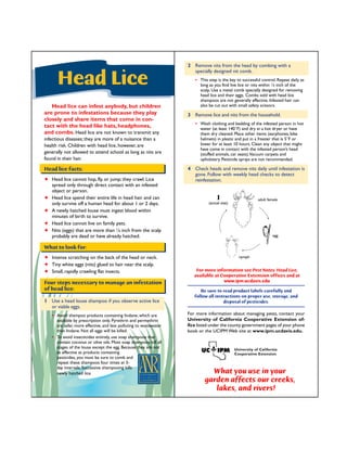 Head Lice 
Head lice can infest anybody, but children 
are prone to infestations because they play 
closely and share items that come in con-tact 
with the head like hats, headphones, 
and combs. Head lice are not known to transmit any 
infectious diseases; they are more of a nuisance than a 
health risk. Children with head lice, however, are 
generally not allowed to attend school as long as nits are 
found in their hair. 
Head lice facts: 
✦ Head lice cannot hop, fly, or jump; they crawl. Lice 
spread only through direct contact with an infested 
object or person. 
✦ Head lice spend their entire life in head hair and can 
only survive off a human head for about 1 or 2 days. 
✦ A newly hatched louse must ingest blood within 
minutes of birth to survive. 
✦ Head lice cannot live on family pets. 
✦ Nits (eggs) that are more than 1⁄4 inch from the scalp 
probably are dead or have already hatched. 
What to look for: 
✦ Intense scratching on the back of the head or neck. 
✦ Tiny white eggs (nits) glued to hair near the scalp. 
✦ Small, rapidly crawling flat insects. 
Four steps necessary to manage an infestation 
of head lice: 
1 Use a head louse shampoo if you observe active lice 
or viable eggs. 
• Avoid shampoo products containing lindane, which are 
available by prescription only. Pyrethrin and permethrin 
are safer, more effective, and less polluting to wastewater 
than lindane. Not all eggs will be killed. 
• To avoid insecticides entirely, use soap shampoos that 
contain coconut or olive oils. Most soap shampoos kill all 
stages of the louse except the egg. Because they are not 
as effective as products containing 
pesticides, you must be sure to comb and 
repeat these shampoos four times at 3- 
day intervals. Successive shampooing kills 
newly hatched lice. 
2 Remove nits from the head by combing with a 
specially designed nit comb. 
• This step is the key to successful control. Repeat daily as 
long as you find live lice or nits within 1⁄4 inch of the 
scalp. Use a metal comb specially designed for removing 
head lice and their eggs. Combs sold with head lice 
shampoos are not generally effective. Infested hair can 
also be cut out with small safety scissors. 
3 Remove lice and nits from the household. 
• Wash clothing and bedding of the infested person in hot 
water (at least 140°F) and dry in a hot dryer or have 
them dry cleaned. Place other items (earphones, bike 
helmets) in plastic and put in a freezer that is 5°F or 
lower for at least 10 hours. Clean any object that might 
have come in contact with the infested person’s head 
(stuffed animals, car seats). Vacuum carpets and 
upholstery. Pesticide sprays are not recommended. 
4 Check heads and remove nits daily until infestation is 
gone. Follow with weekly head checks to detect 
reinfestation. 
nymph 
adult female 
egg 
(actual size) 
For more information see Pest Notes: Head Lice, 
available at Cooperative Extension offices and at 
www.ipm.ucdavis.edu 
Be sure to read product labels carefully and 
follow all instructions on proper use, storage, and 
disposal of pesticides. 
For more information about managing pests, contact your 
University of California Cooperative Extension of-fice 
listed under the county government pages of your phone 
book or the UCIPM Web site at www.ipm.ucdavis.edu. 
University of California 
Cooperative Extension 
What you use in your 
garden affects our creeks, 
lakes, and rivers! 
