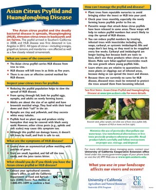 The Asian citrus psyllid and the deadly 
bacterial disease it spreads, Huanglongbing 
(HLB), threaten citrus trees in backyards and 
on farms. The psyllid arrived in Southern California 
in 2008, and HLB disease was first detected in Los 
Angeles in 2012. All types of citrus—including oranges, 
grapefruit, lemons, and mandarins—are affected as well 
as a few closely related ornamentals. 
What are some of the concerns? 
✦ The Asian citrus psyllid carries HLB disease from 
tree to tree. 
✦ HLB disease will kill trees in as little as five years. 
✦ There is no cure or effective control method for 
HLB disease. 
Inspect your citrus trees for psyllids. 
✦ Reducing the psyllid population helps to slow the 
spread of HLB disease. 
✦ From spring through fall, look for psyllid eggs, 
nymphs, and adults on newly forming leaves. 
✦ Adults are about the size of an aphid and have 
brownish mottled wings. They feed with their head 
down and their “tail” in the air. 
✦ Nymphs are tiny and yellowish, and they excrete 
white waxy tubules. 
✦ Psyllids feed on plant sap and produce sticky 
honeydew that may be covered with black sooty 
mold. However, other citrus pests (e.g., aphids and 
soft scales) may cause this symptom too. 
✦ Although this psyllid can damage leaves, it doesn’t 
kill trees by itself, and fruit is safe to eat. 
What are the symptoms of HLB disease? 
✦ Leaves show an asymmetrical yellow mottling with 
patches of green. 
✦ Fruit are small, lopsided, and fall off the tree 
easily, and the juice tastes bitter. 
What should you do if you think you have the 
Asian citrus psyllid or HLB disease? 
✦ Contact your agricultural commis-sioner’s 
office, or call the California 
Department of Food and Agricul-ture 
(CDFA) Exotic Pest Hotline at 
1-800-491-1899 to confirm a find. University of California 
Statewide Integrated Pest 
Management Program 
Asian Citrus Psyllid and 
Huanglongbing Disease 
How can I manage the psyllid and disease? 
✦ Plant trees from reputable nurseries to avoid 
bringing either the insect or HLB into your yard. 
✦ Check your trees monthly, especially the newly 
forming leaves psyllids prefer to live on. 
✦ Parasitic wasps that attack Asian citrus psyllids 
have been released in some areas. These wasps will 
help to reduce psyllid numbers but aren’t likely to 
stop the spread of HLB disease. 
✦ You can reduce psyllid numbers by treating 
infested trees with insecticides including oils, 
soaps, carbaryl, or systemic imidacloprid. Oils and 
soaps don’t last long, so they need to be reapplied 
every few weeks. Carbaryl and imidacloprid are 
longer lasting, but because both are toxic to 
bees, don’t use these products when citrus are in 
bloom. Make sure foliar-applied insecticides reach 
the new growth where young psyllids hide. 
✦ Learn where you are relative to quarantines. Don’t 
move plants or clippings out of infested areas, 
because doing so can spread the insect and disease. 
✦ Because there are currently no cures for HLB 
disease, diseased trees must be removed to protect 
the trees around them from becoming infected. 
Minimize the use of pesticides that pollute our 
waterways. Use nonchemical alternatives or less 
toxic pesticide products whenever possible. Read 
product labels carefully and follow instructions 
on proper use, storage, and disposal. 
For more information about managing pests, contact your 
University of California Cooperative Extension office 
listed under the county government pages of your phone book 
or visit the UC IPM Web site at www.ipm.ucdavis.edu. 
What you use in your landscape 
affects our rivers and oceans! 
University of California 
Statewide IPM Program Cooperative Extension May 2013 
See Pest Notes: Asian Citrus Psyllid and Huanglongbing 
Disease at www.ipm.ucdavis.edu for more details. 
Brownish adult, yellow nymphs, and white wax of Asian citrus psyllids (left). 
Symptoms of HLB on leaves and fruit (right). 

