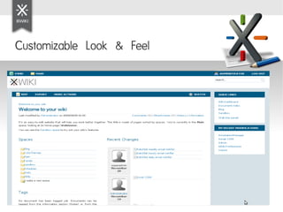 Customizable Look & Feel
 