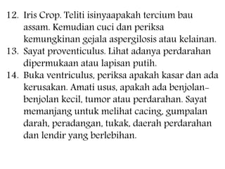 12. Iris Crop. Teliti isinyaapakah tercium bau
assam. Kemudian cuci dan periksa
kemungkinan gejala aspergilosis atau kelainan.
13. Sayat proventiculus. Lihat adanya perdarahan
dipermukaan atau lapisan putih.
14. Buka ventriculus, periksa apakah kasar dan ada
kerusakan. Amati usus, apakah ada benjolan-
benjolan kecil, tumor atau perdarahan. Sayat
memanjang untuk melihat cacing, gumpalan
darah, peradangan, tukak, daerah perdarahan
dan lendir yang berlebihan.
 