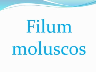 Filum
moluscos
 