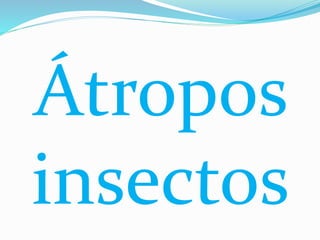 Átropos
insectos
 