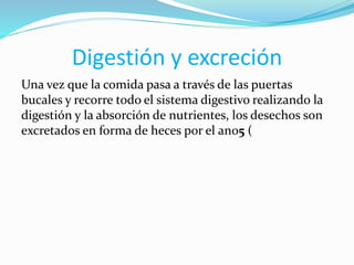 Digestión y excreción
Una vez que la comida pasa a través de las puertas
bucales y recorre todo el sistema digestivo realizando la
digestión y la absorción de nutrientes, los desechos son
excretados en forma de heces por el ano5 (
 