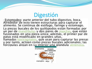 Digestión
 