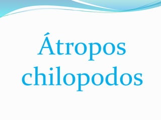 Átropos
chilopodos
 