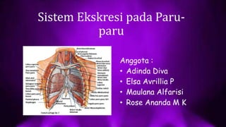 Sistem Ekskresi pada Paru-
paru
Anggota :
• Adinda Diva
• Elsa Avrillia P
• Maulana Alfarisi
• Rose Ananda M K
 