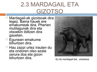 2.3 MARDAGAIL ETA
GIZOTSO
 Mardagail-ak gizotsoak dira
legez. Baina hauek ere
emakumeak dira. Pherien
mutilagunak dira eta
otsoekin ibiltzen dira
gauetan.
 Egunean emakume
bihurtzen dira.
 Hau zazpi urtez irauten du
eta ondoren otso azala
zerura doa eta gizon
bihurtzen dira. Ez da mardagail bat , antzekoa.
 