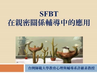 SFBT
在親密關係輔導中的應用
台灣師範大學教育心理與輔導系許維素教授
 
