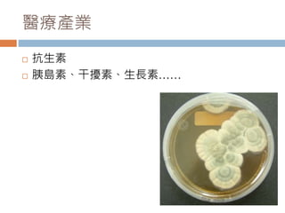 醫療產業
 抗生素
 胰島素、干擾素、生長素……
 