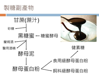 製糖副產物
甘蔗(蔗汁)
砂糖
蘭姆酒
黑糖蜜
醫用酒精
糖蜜酵母
酵母泥
酵母蛋白粉
食用級酵母蛋白粉
飼料級酵母蛋白粉
健素糖
 