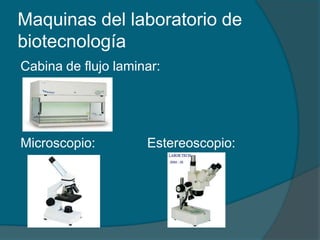 Maquinas del laboratorio de biotecnologíaCabina de flujo laminar:Microscopio:              Estereoscopio: