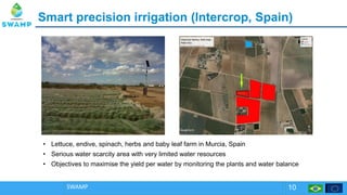 SmartSmart precision irrigationprecision irrigation ((Intercrop, Spain)Intercrop, Spain)
SWAMP 10
• Lettuce, endive, spinach, herbs and baby leaf farm in Murcia, Spain
• Serious water scarcity area with very limited water resources
• Objectives to maximise the yield per water by monitoring the plants and water balance
 