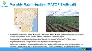 VariableVariable Rate IrrigationRate Irrigation ((MATOPIBA/Brazil)MATOPIBA/Brazil)
SWAMP 11
• Area within 4 Brazilian states: Maranhão, Tocantins, Piauí, Bahia: important irrigated agricultural
frontier using center pivots in the Cerrado, a savannah climate subtype
• Municipality of Luís Eduardo Magalhães (Bahia), the “capital” of the MATOPIBA region
• Soybean production using variable rate irrigation with center pivots
• Objectives: production highly affected by drought and irrigation is a very effective alternative, but
expansion depends on technologies that improve operating costs and promote sustainability
 