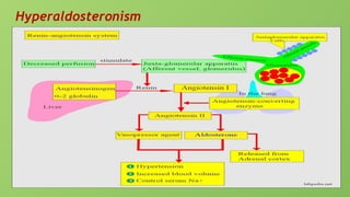 Hyperaldosteronism
 
