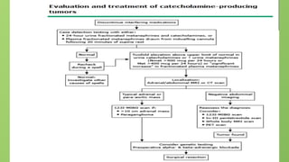 adrenal_gland_hyperaldosteronism, type and causes