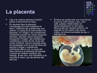 La placenta <ul><li>Cap a la vuitena setmana l’embrió passa a denominar-se fetus.   </li></ul><ul><li>En aquesta fase la p...