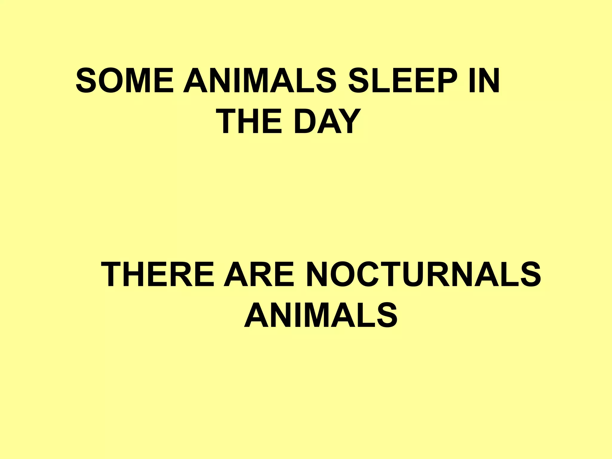 SOME ANIMALS SLEEP IN
THE DAY
THERE ARE NOCTURNALS
ANIMALS