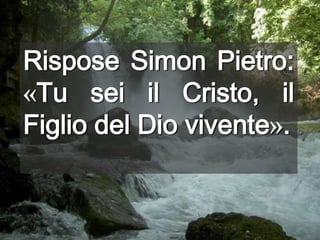 Rispose Simon Pietro: «Tu sei il Cristo, il Figlio del Dio vivente».