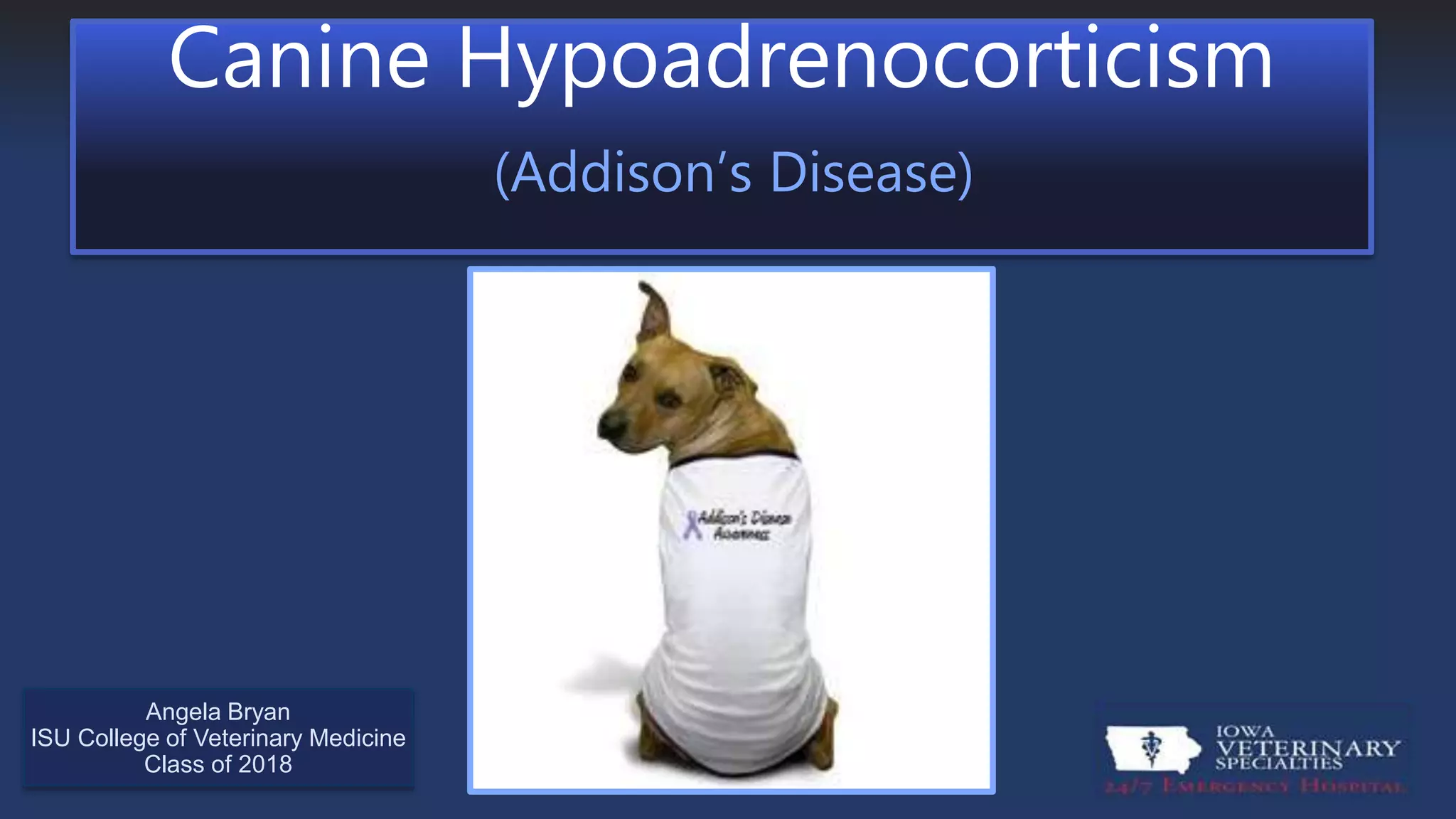 Canine Hypoadrenocorticism | PPTX