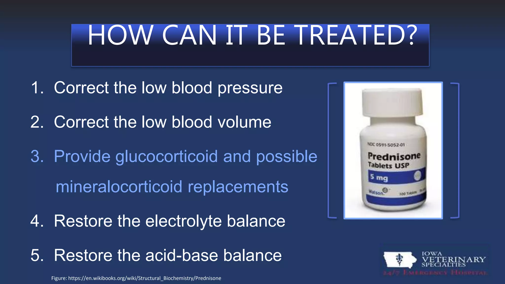 Canine Hypoadrenocorticism | PPTX