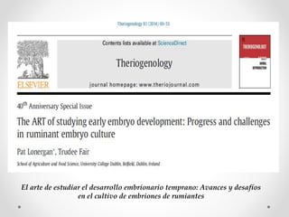 El arte de estudiar el desarrollo embrionario temprano: Avances y desafíos
en el cultivo de embriones de rumiantes
 