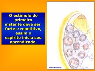 O estímulo doO estímulo do
primeiroprimeiro
instante deve serinstante deve ser
forte e repetitivo,forte e repetitivo,
assim oassim o
espírito inicia seuespírito inicia seu
aprendizado.aprendizado.
Colégio Allan Kardec
 