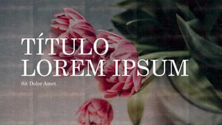 TÍTULO
LOREM IPSUM
Sit Dolor Amet
 