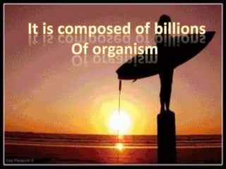 It is composed of billionsOf organism