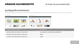 GÄNGIGE SUCHBEGRIFFE So ﬁnden Sie das perfekte Bild.
Suchbegriﬀe kombinieren
Die folgenden Beispiele illustrieren, wie Sie mithilfe der Verknüpfungsfunktion Suchbegriﬀe kombinieren können, um Ihre Suche zu speziﬁzieren. 
Um Bilder zu ﬁnden, auf denen …
 Benutzen Sie:
… sowohl Hunde als auch Katzen zu sehen sind.
 Ein Leerzeichen zwischen den Suchbegriﬀen.
… entweder Hunde oder Katzen zu sehen sind.
 ODER
… nur Katzen, aber keine Hunde zu sehen sind. 
 NICHT
!"#$%&'(")'
*+,-./012#(23%,+304
 
