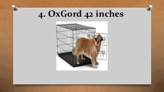 Xxxl Dog Crate Top 10 Best Xxl Dog Crates And Xxxl Dog Crates