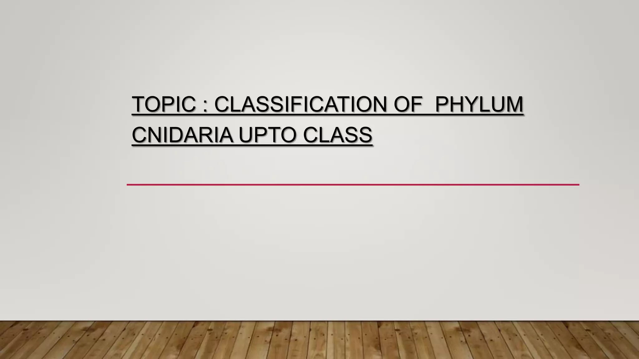 Classification of phylum Cnidaria upto class | PPTX