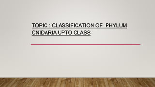 TOPIC : CLASSIFICATION OF PHYLUM
CNIDARIA UPTO CLASS
 