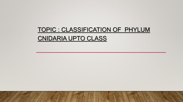 Classification of phylum Cnidaria upto class PPT