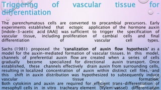 Triggering of vascular tissue for
differentiation -
The parenchymatous cells are converted to procambial precursors. Early
experiments established that ectopic application of the hormone auxin
[indole-3-acetic acid (IAA)] was sufficient to trigger the specification of
vascular tissue, including proliferation of cambial cells and final
differentiation of vascular cell types.
Sachs (1981) proposed the ‘canalization of auxin flow hypothesis’ as a
model for the auxin-mediated formation of vascular tissues. In this model,
channels of preferential auxin flow are created when a series of cells
gradually become specialized for directional auxin transport. Once
established, these channels effectively drain auxin from surrounding cells,
resulting in localized concentration of auxin within distinct cell files, and
this shift in auxin distribution was hypothesized to subsequently induce
vascular tissue formation.
Both cytokinin and auxin are required for efficient trans-differentiation of
mesophyll cells in in vitro tracheary element (xylem vessel) differentiation
 