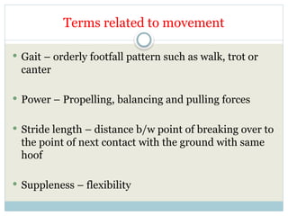 Trot Foot Fall Pattern Movements in horses and their defects.pptx