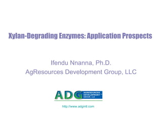 Xylan-Degrading Enzymes: Application Prospects Ifendu Nnanna, Ph.D. AgResources Development Group, LLC http://www.adgintl.com 